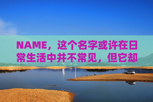 NAME，这个名字或许在日常生活中并不常见，但它却在某些领域里扮演着重要的角色。今天，让我们一起来探索这个名字背后的故事和意义
